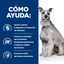 360 g Hill's Prescription Diet Digestive Care Low Fat lata para cães, , large Indicador imagem número 3